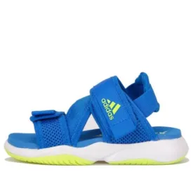 adidas Terrex Sumra Sandals K Blue, blue