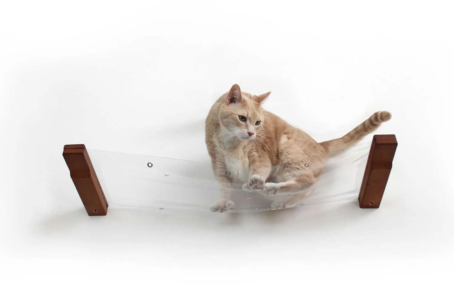 Invisible Cat Wall Hammock