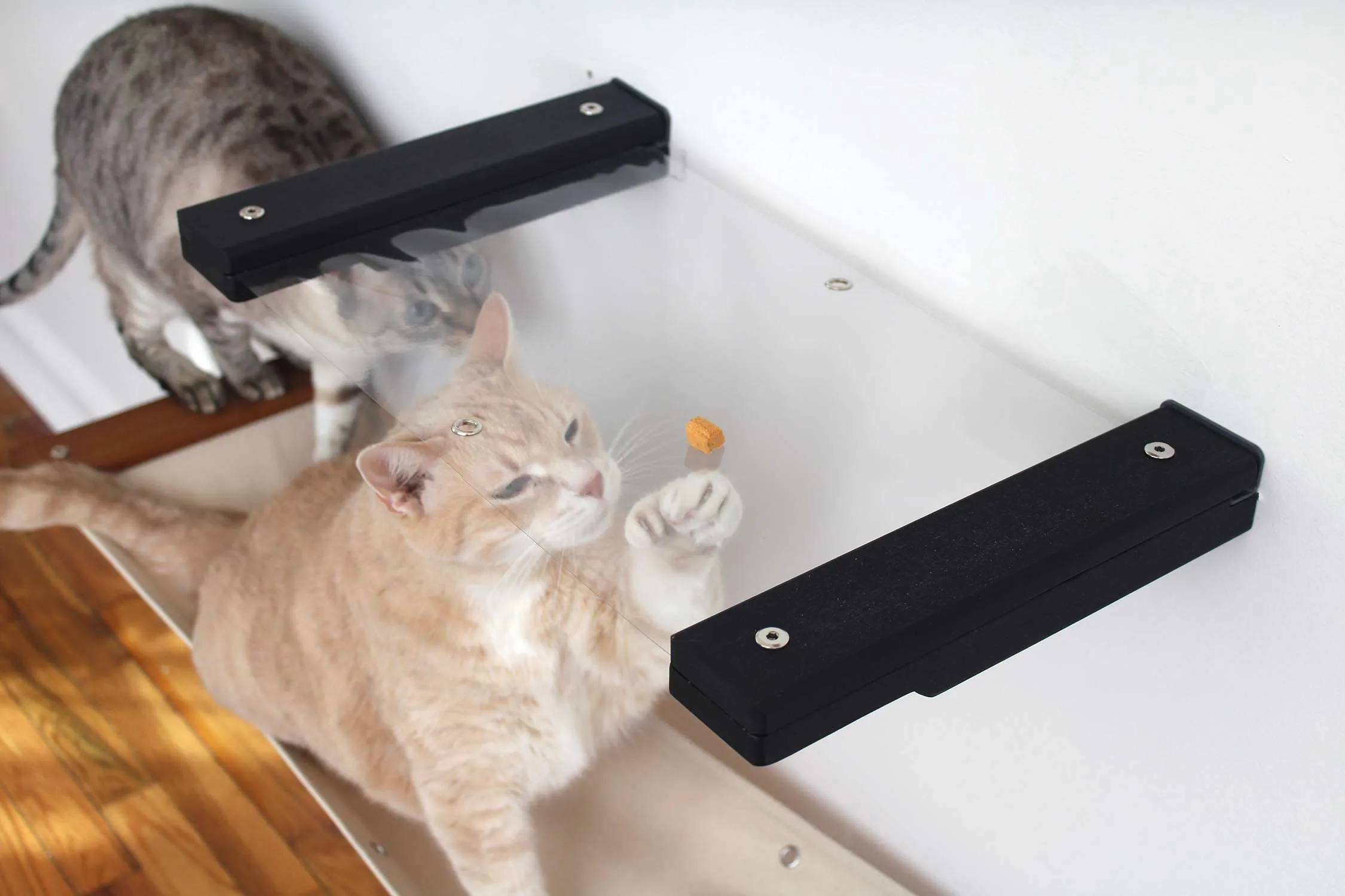 Invisible Cat Wall Hammock