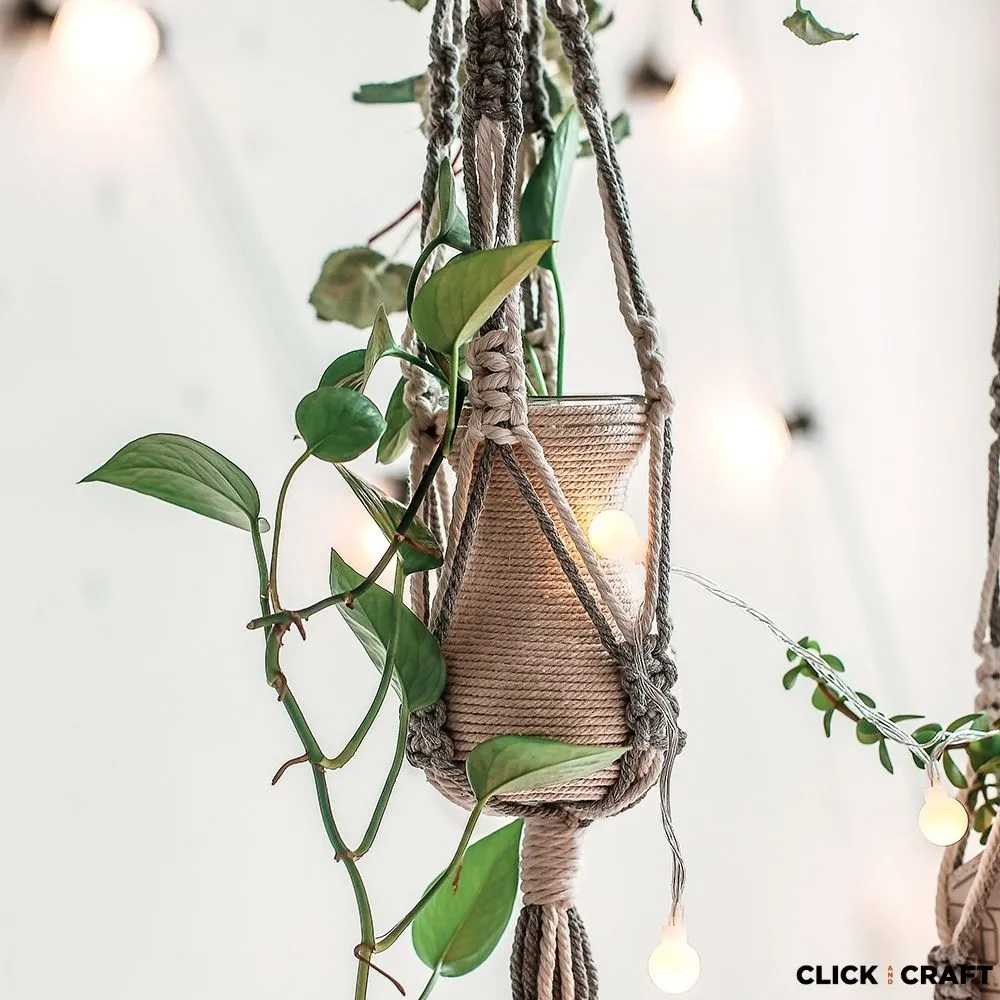 Medium Plant Hanger 3