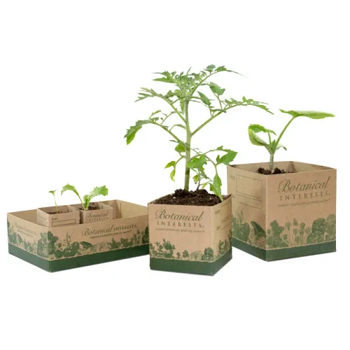 Recycled Paper Pots For Seedlings